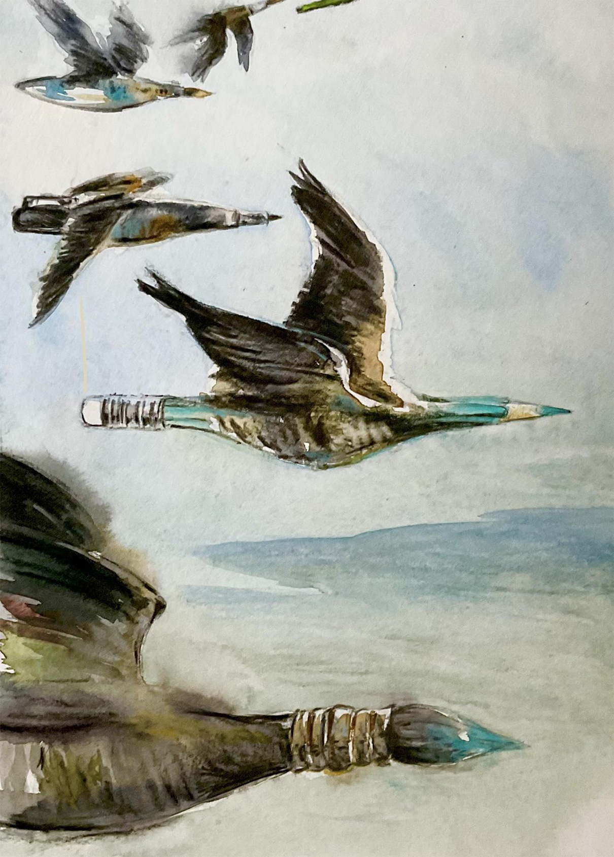 oiseau oiseau