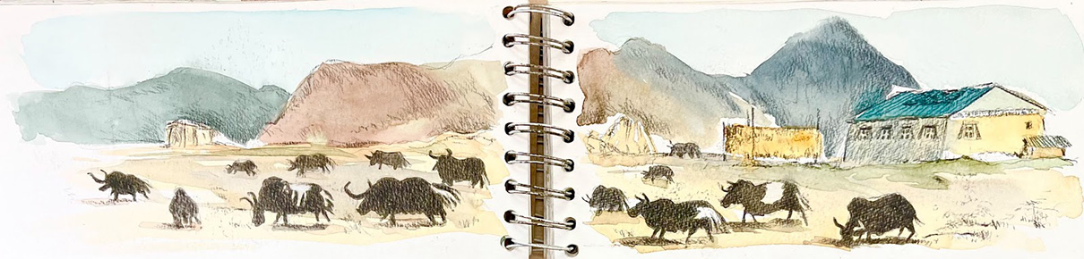 yunnan-ferme