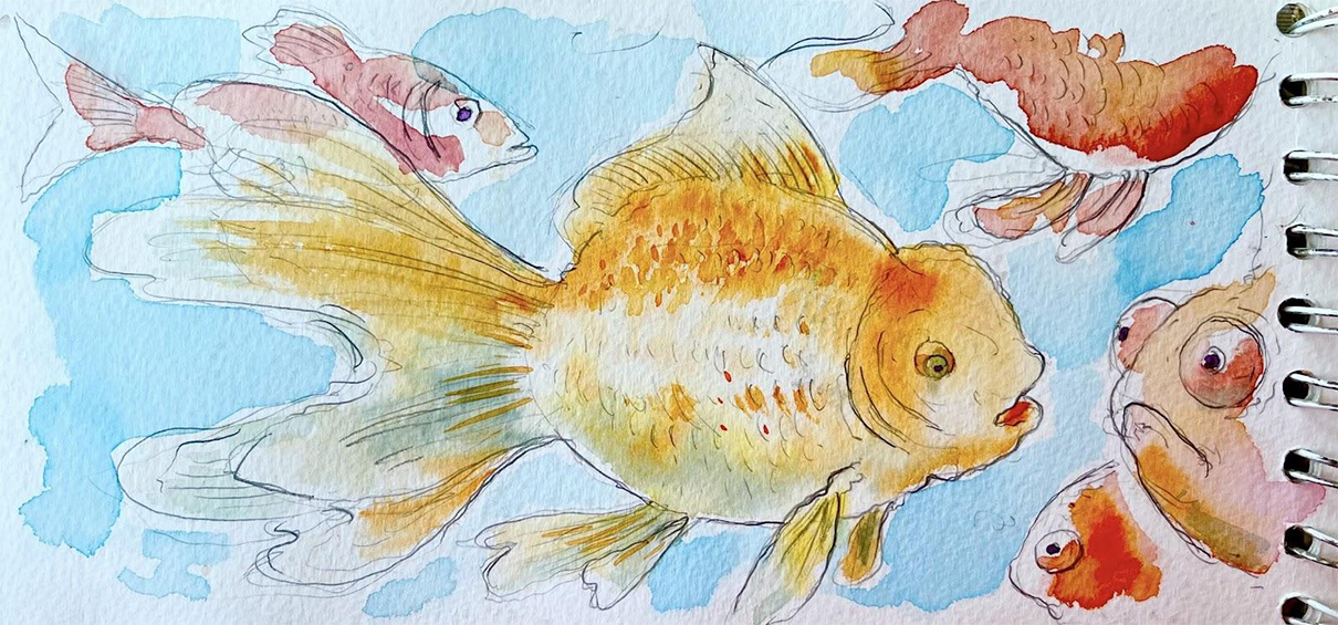 yunnan-poisson