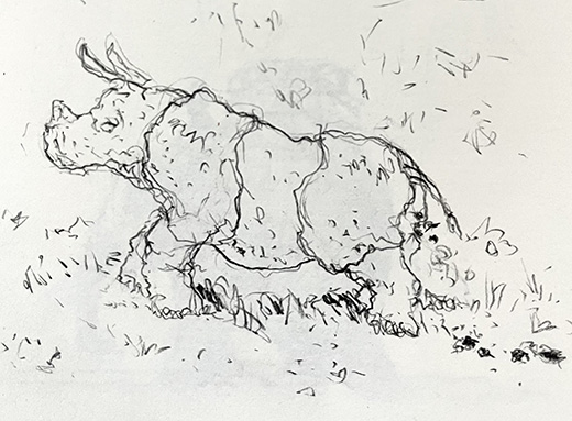 rino