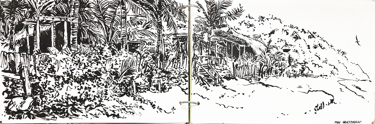 mex29