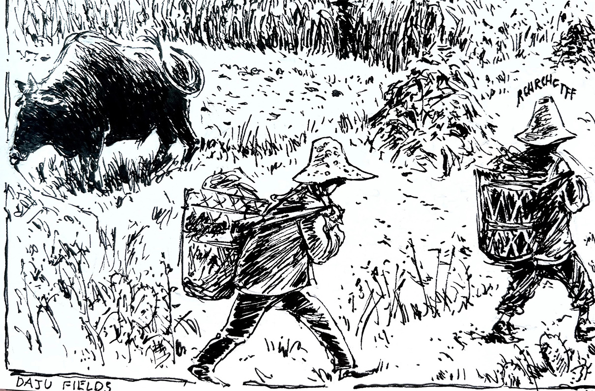 moments-boeuf travail dans les champs.